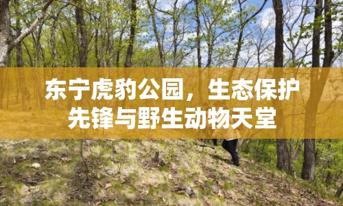 東寧虎豹公園，生態(tài)保護先鋒與野生動物天堂