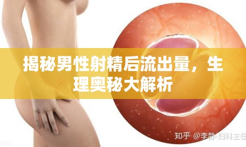 揭秘男性射精后流出量，生理奧秘大解析