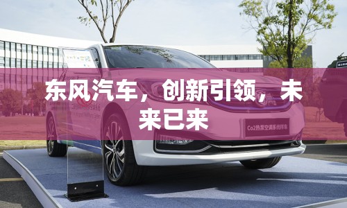 東風(fēng)汽車(chē)，創(chuàng)新引領(lǐng)，未來(lái)已來(lái)