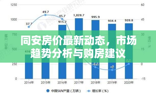同安房價最新動態(tài)，市場趨勢分析與購房建議
