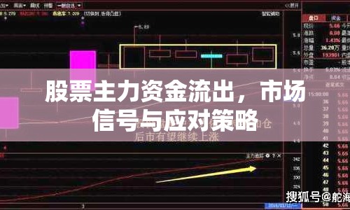 股票主力資金流出，市場信號與應(yīng)對策略