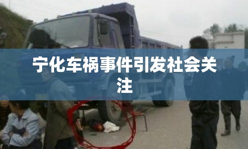寧化車禍?zhǔn)录l(fā)社會(huì)關(guān)注