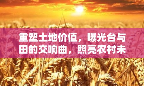 重塑土地價值，曝光臺與田的交響曲，照亮農(nóng)村未來