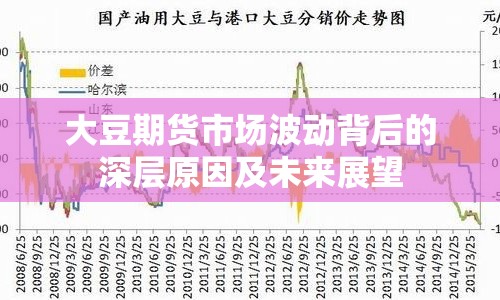 大豆期貨市場(chǎng)波動(dòng)背后的深層原因及未來(lái)展望