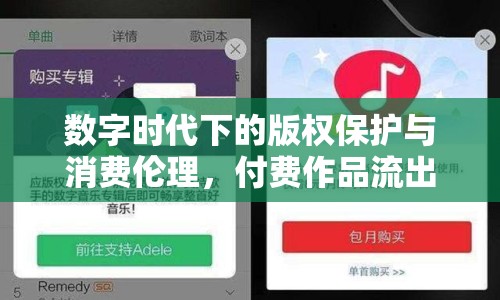 數(shù)字時(shí)代下的版權(quán)保護(hù)與消費(fèi)倫理，付費(fèi)作品流出引發(fā)的思考