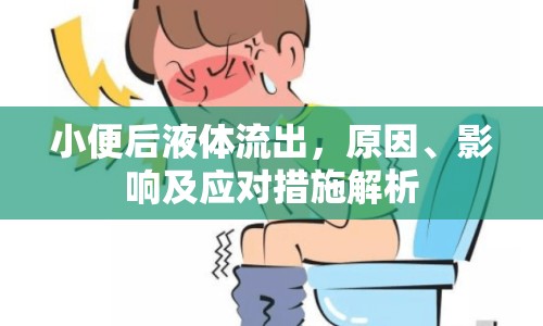 小便后液體流出，原因、影響及應(yīng)對措施解析
