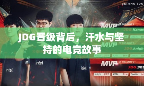 JDG晉級(jí)背后，汗水與堅(jiān)持的電競(jìng)故事