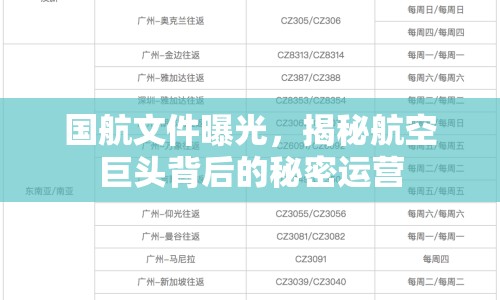 國航文件曝光，揭秘航空巨頭背后的秘密運(yùn)營