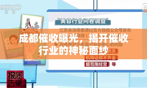 成都催收曝光，揭開催收行業(yè)的神秘面紗
