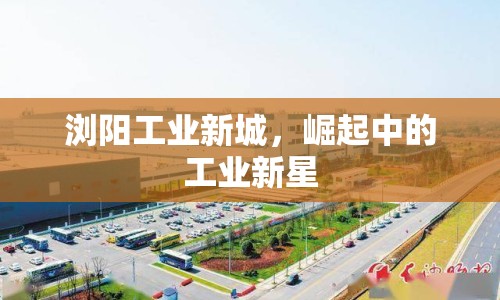 瀏陽工業(yè)新城，崛起中的工業(yè)新星