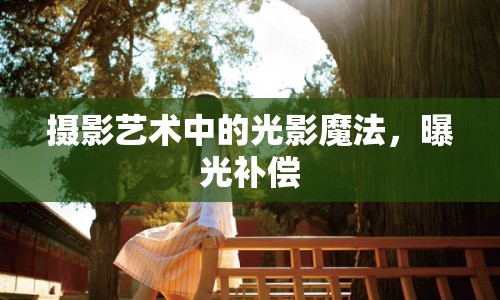 攝影藝術(shù)中的光影魔法，曝光補(bǔ)償