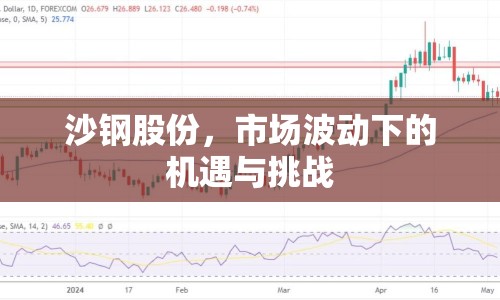 沙鋼股份，市場波動下的機遇與挑戰(zhàn)