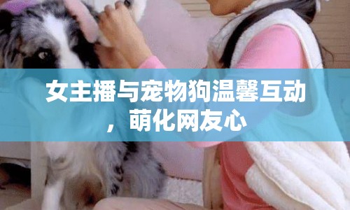 女主播與寵物狗溫馨互動，萌化網(wǎng)友心