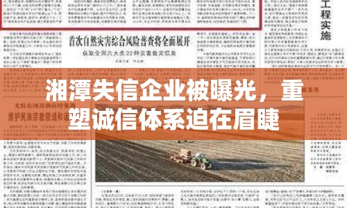 湘潭失信企業(yè)被曝光，重塑誠信體系迫在眉睫