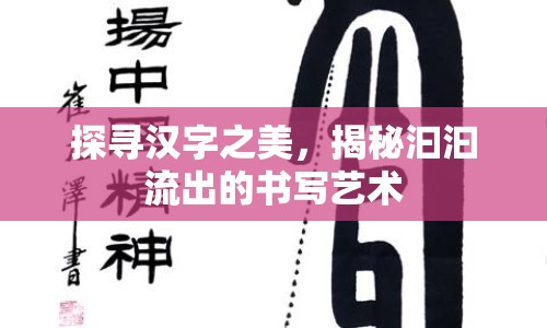 探尋漢字之美，揭秘汩汩流出的書寫藝術(shù)