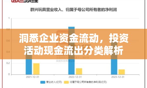 洞悉企業(yè)資金流動，投資活動現(xiàn)金流出分類解析