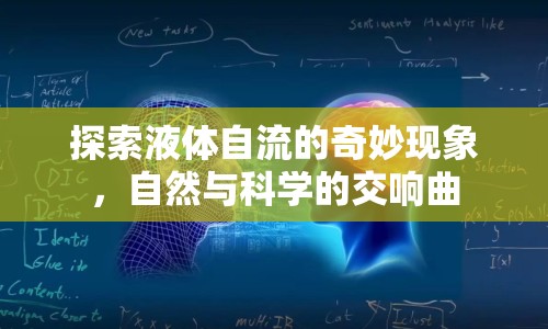 探索液體自流的奇妙現(xiàn)象，自然與科學(xué)的交響曲