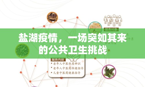 鹽湖疫情，一場突如其來的公共衛(wèi)生挑戰(zhàn)