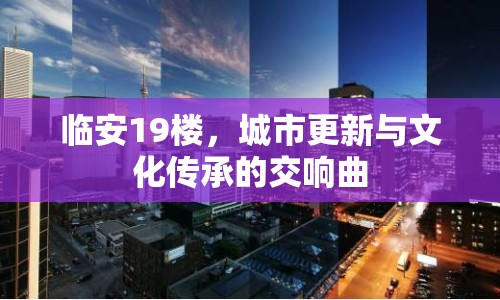 臨安19樓，城市更新與文化傳承的交響曲
