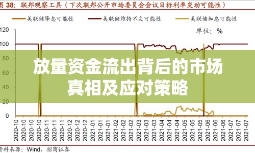 放量資金流出背后的市場真相及應(yīng)對策略