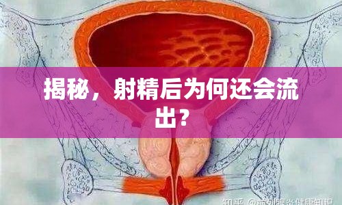 揭秘，射精后為何還會(huì)流出？