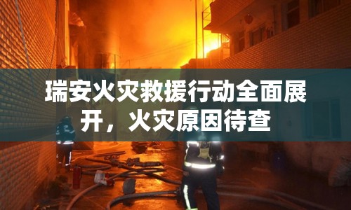 瑞安火災(zāi)救援行動全面展開，火災(zāi)原因待查