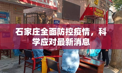 石家莊全面防控疫情，科學(xué)應(yīng)對最新消息
