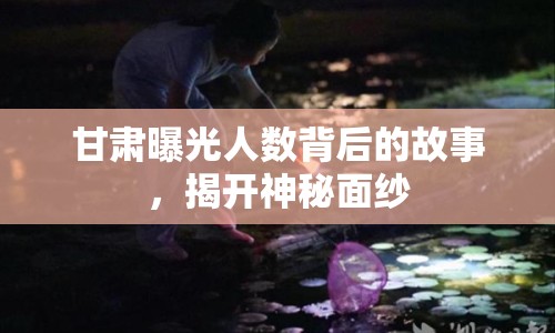 甘肅曝光人數(shù)背后的故事，揭開(kāi)神秘面紗