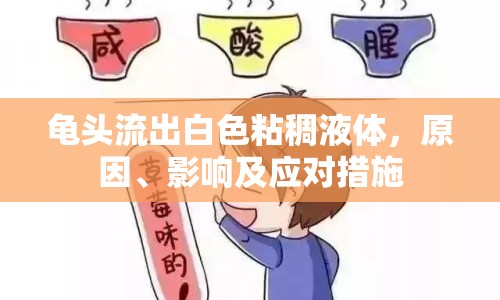 龜頭流出白色粘稠液體，原因、影響及應(yīng)對(duì)措施