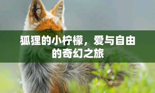狐貍的小檸檬，愛與自由的奇幻之旅
