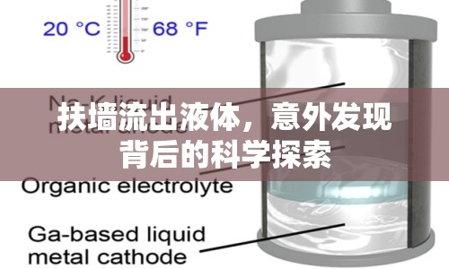 扶墻流出液體，意外發(fā)現(xiàn)背后的科學(xué)探索