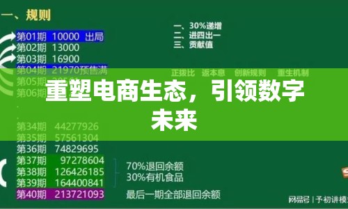 重塑電商生態(tài)，引領(lǐng)數(shù)字未來