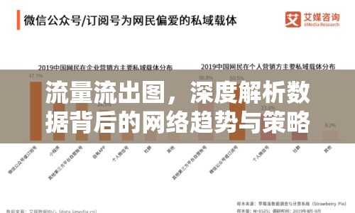 流量流出圖，深度解析數(shù)據(jù)背后的網(wǎng)絡(luò)趨勢與策略啟示