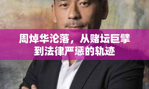 周焯華淪落，從賭壇巨擘到法律嚴(yán)懲的軌跡