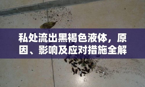 私處流出黑褐色液體，原因、影響及應(yīng)對措施全解析