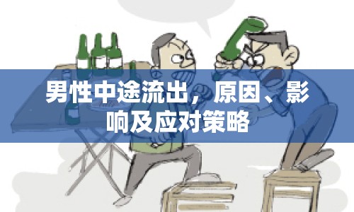 男性中途流出，原因、影響及應(yīng)對策略