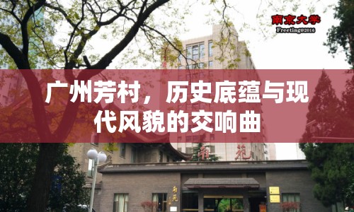 廣州芳村，歷史底蘊(yùn)與現(xiàn)代風(fēng)貌的交響曲