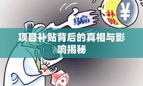 項目補(bǔ)貼背后的真相與影響揭秘
