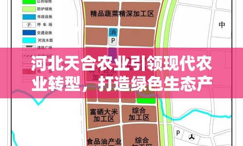 河北天合農(nóng)業(yè)引領(lǐng)現(xiàn)代農(nóng)業(yè)轉(zhuǎn)型，打造綠色生態(tài)產(chǎn)業(yè)鏈