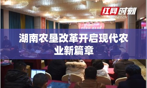 湖南農(nóng)墾改革開啟現(xiàn)代農(nóng)業(yè)新篇章