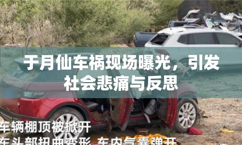 于月仙車禍現(xiàn)場曝光，引發(fā)社會悲痛與反思