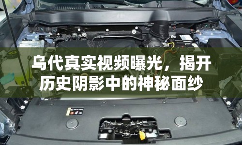 烏代真實(shí)視頻曝光，揭開歷史陰影中的神秘面紗