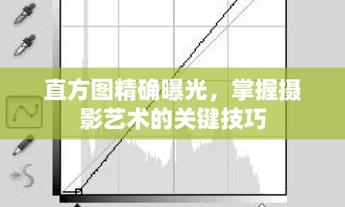 直方圖精確曝光，掌握攝影藝術(shù)的關(guān)鍵技巧