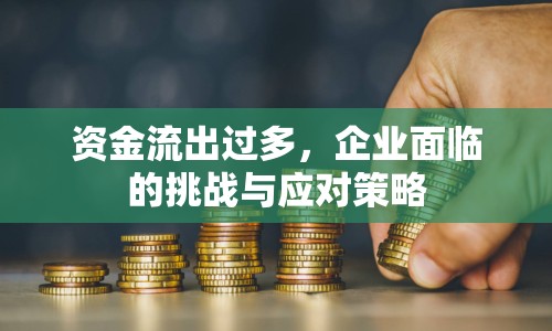 資金流出過多，企業(yè)面臨的挑戰(zhàn)與應對策略