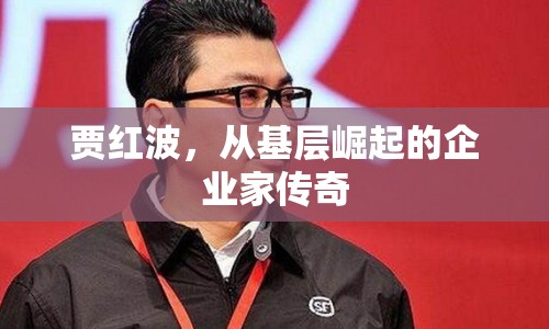 賈紅波，從基層崛起的企業(yè)家傳奇