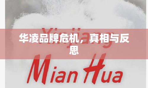 華凌品牌危機(jī)，真相與反思