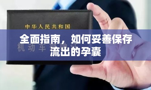 全面指南，如何妥善保存流出的孕囊