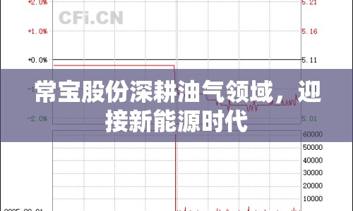 常寶股份深耕油氣領(lǐng)域，迎接新能源時(shí)代
