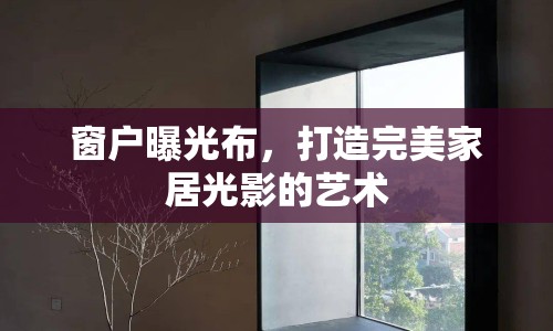 窗戶(hù)曝光布，打造完美家居光影的藝術(shù)