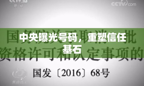 中央曝光號碼，重塑信任基石